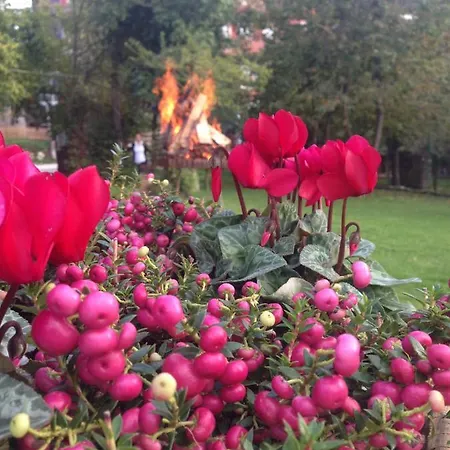 Vecchia Stazione Mountain Elegance روانا