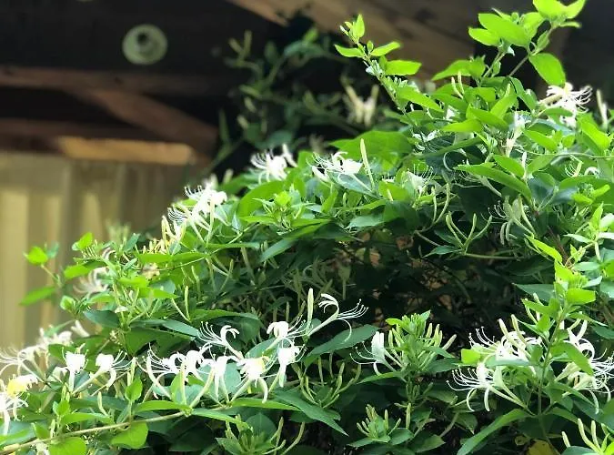 Vecchia Stazione Mountain Elegance 3* Roana